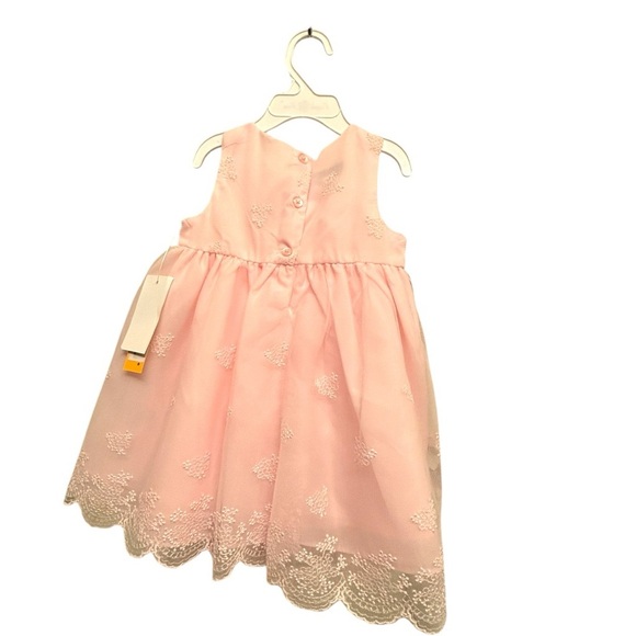 NWT 24mo Embroidered pink Purple Rose dress. Dsct w 2+ bundle. - Picture 6 of 10